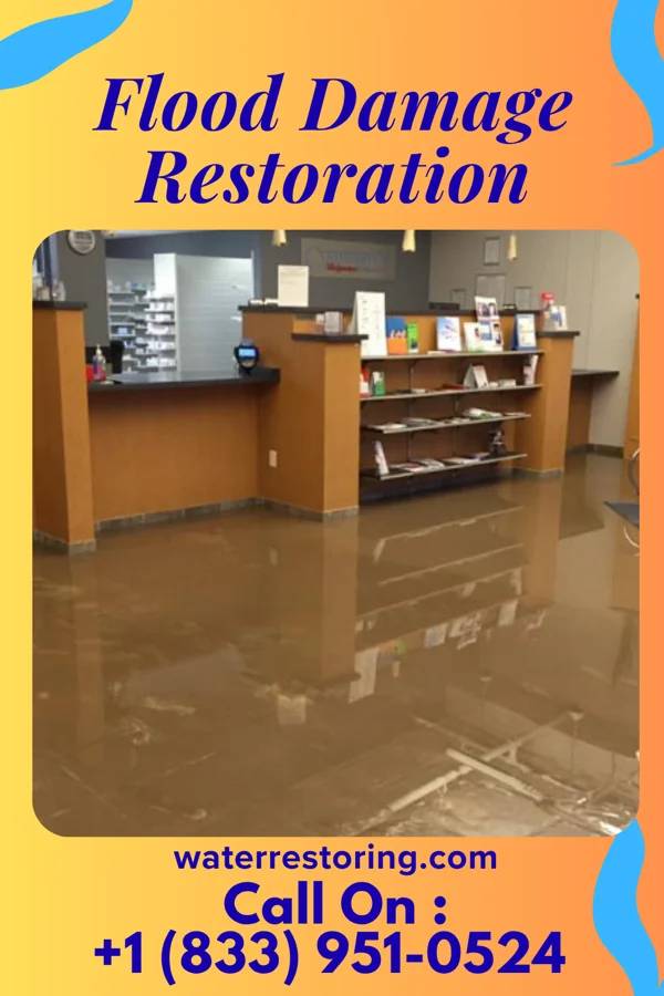 Flood Damage Restoration in Reedsburg, WI