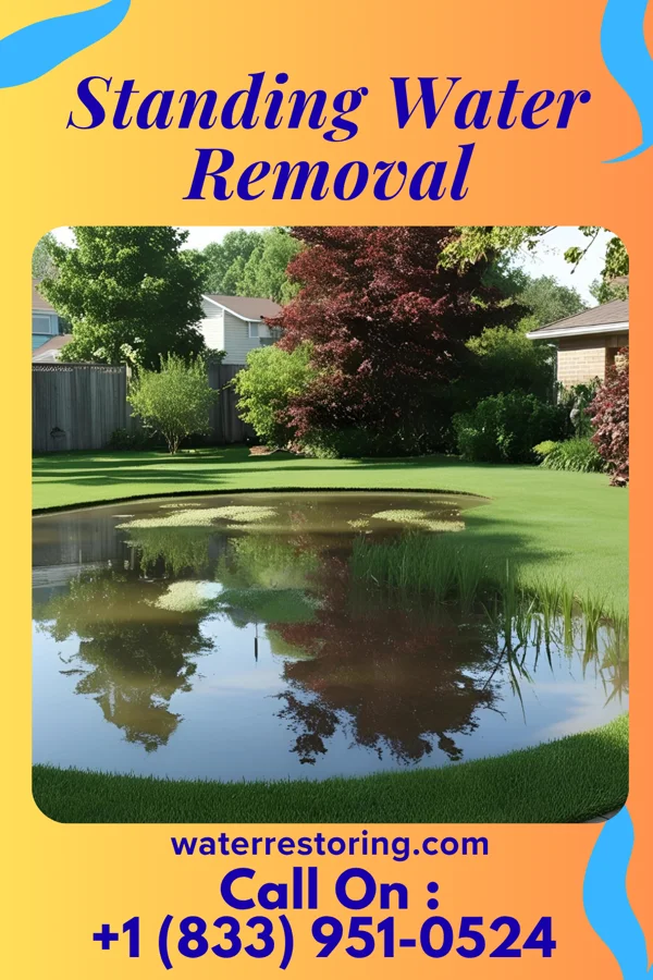 Standing Water Removal in Reedsburg, WI